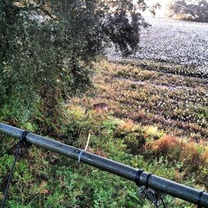 Image post by @daltonmauldin5 on Instagram