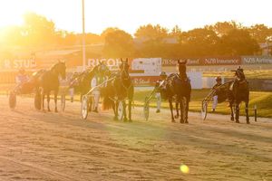 Image post by @NZHorseAmbulanceTrust on Facebook