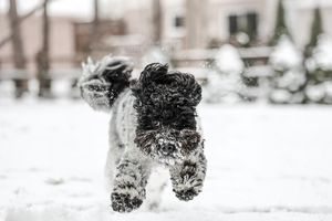 Image post by @jackportunephotography on Instagram