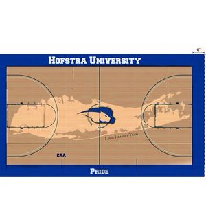 Image post by @hofstrasoftball on Instagram