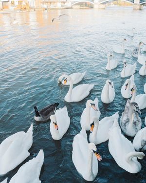 Image post by @will_insull on Instagram