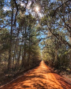 Image post by @kylemerber on Instagram