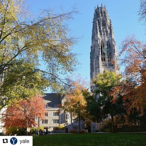 Image post by @yalevolleyball on Instagram