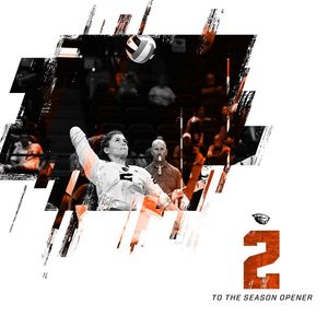 Image post by @beavervball on Instagram