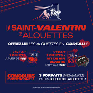 Image post by @mtlalouettes on Instagram