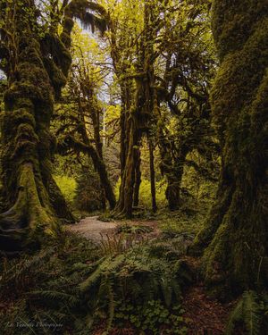 Image post by @nationalparkspartnership on Instagram