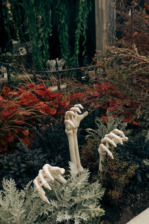 Image post by @rogersgardens on Instagram