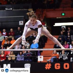 Image post by @beavergym on Instagram