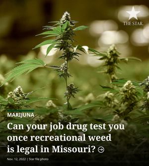 Image post by @thekansascitystar on Instagram