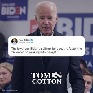 Image post by @nrsc on Instagram