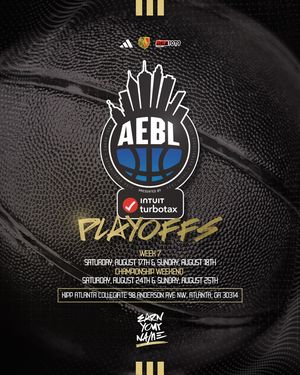 Image post by @aeblhoops on Instagram