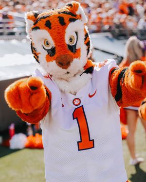 Image post by @ClemsonTigers on Twitter/X