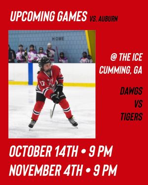 Image post by @ugawhockey on Instagram