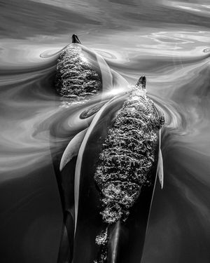 Image post by @natgeo on Instagram