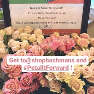 Image post by @shopbachmans on Instagram