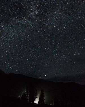 Image post by @tayprinsen on Instagram