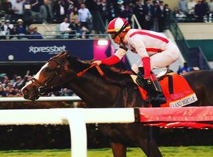 Image post by @pegasusworldcup on Instagram