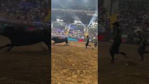 Video post by @pbr on YouTube