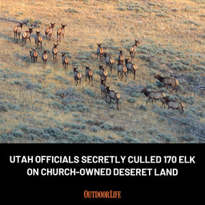 Image post by @outdoor_life on Instagram