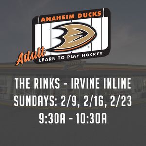 Image post by @the_rinks on Instagram