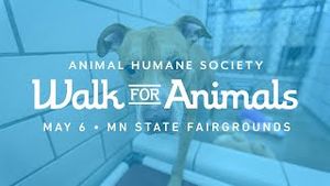 Video post by @Animal Humane Society on YouTube