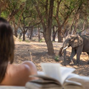 Image post by @chiawasafaris on Instagram