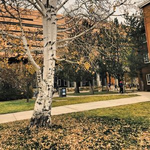Image post by @nauflagstaff on Instagram