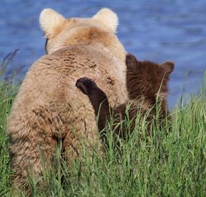Image post by @nationalparkservice on Instagram