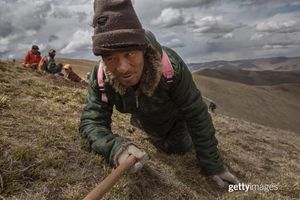 Image post by @gettyimages on Instagram