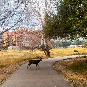 Image post by @cuboulder on Instagram