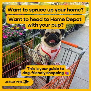 Image post by @jetsetpets on Instagram