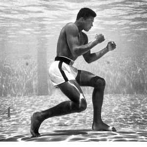Image post by @serenawilliams on Instagram