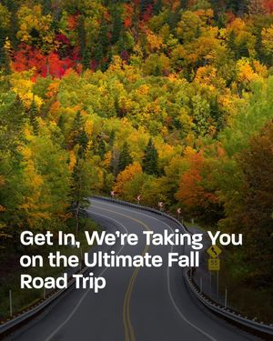 Image post by @thrillist on Instagram