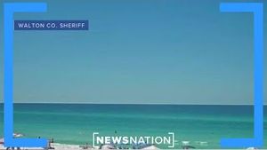 Video post by @newsnation on YouTube