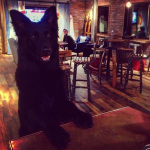 Image post by @10thmtnwhiskey on Instagram