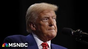 Video post by @msnbc on YouTube