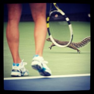Image post by @filatennis on Instagram