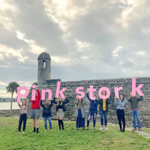 Image post by @pinkstork on Instagram