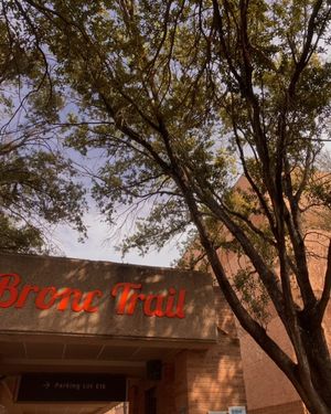 Image post by @utrgv on Instagram