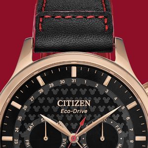Image post by @citizenwatchus on Instagram
