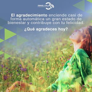 Image post by @calafoundation on Instagram