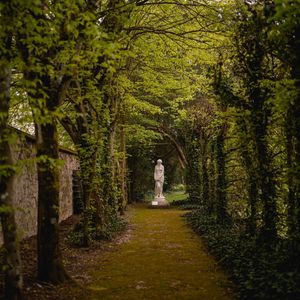 Image post by @fotodioxpro on Instagram