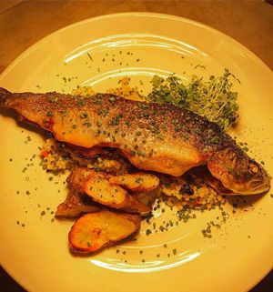 Image post by @tailorandcook on Instagram