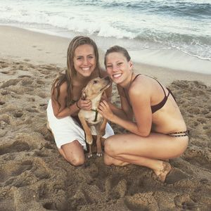 Image post by @purduewswimdive on Instagram