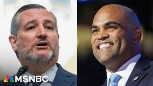 Video post by @msnbc on YouTube