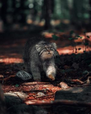 Image post by @fubiz on Instagram