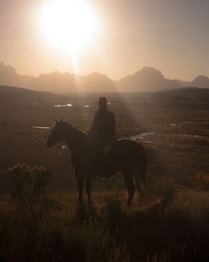 Image post by @diamondcrossranch on Instagram