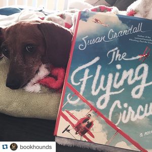 Image post by @gallerybooks on Instagram