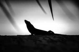 Image post by @jackportunephotography on Instagram