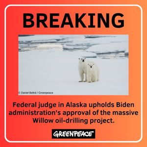 Image post by @greenpeaceusa on Instagram